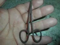 DSCN4179.webp