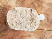 20191202_155223.webp