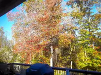 002.webp