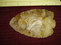 20191024_100553.webp
