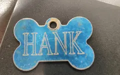 hank.webp
