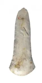 spud chipped and ground ms period.webp
