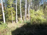 010.webp