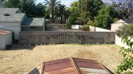 Phone camera Herd.webp