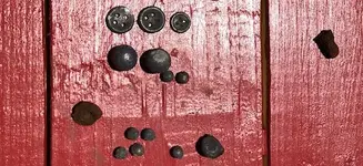 Buttons and Balls.webp