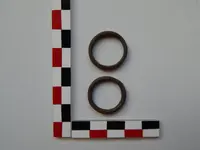 DSCN7270.webp