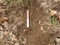 DSCN6701.webp