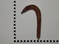 DSCN7043.webp