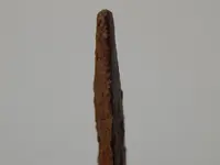 DSCN7200.webp