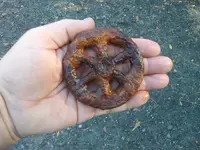 rusted-handle.webp