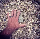 ImageUploadedByTreasureNet.com1575417619.638117.webp