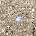 20191225_131329.webp