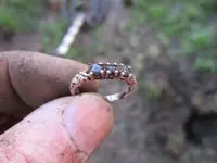 Finds 1-19-20 003.webp