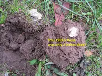 Finds 1-19-20 006.webp