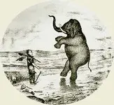 calphant.webp