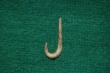 FishHook03.webp