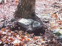 Sign BM 2-02-08 - Turtle Rock.webp
