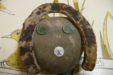 Mule shoe and coins.webp