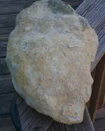 dinoursour skin 001.webp