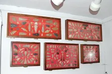 Pictures013.webp