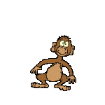 jumping-monkey-gif-animation.gif