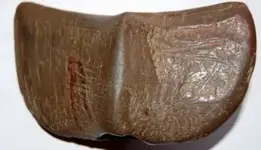 Indian Artifacts 0030002.webp