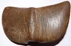 Indian Artifacts 0040003.webp