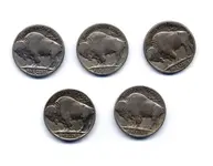 5INDIANHEADSBACKFORWEB2.webp