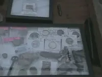DCAM0066.webp