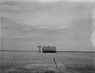 house-in-field.webp