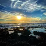 ImageUploadedByTreasureNet.com1578704953.328766.webp