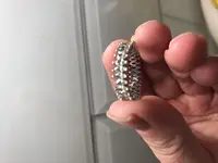 diamond ring.webp