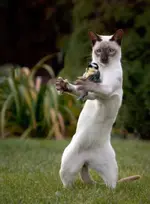 BGIf02z.webp