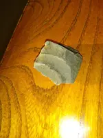 IMG_20200101_150016947.webp
