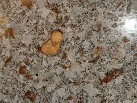 IMG_20191231_224832.webp