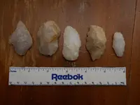 DSCN1861.webp