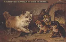 scan0001.webp