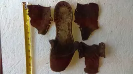 shoe.webp