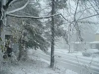 DSCF0001.webp