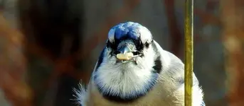 DSCN7976.webp