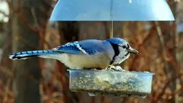K1024_DSCN7977.webp