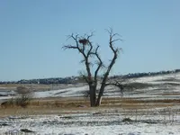 IMG_20191124_114121.webp