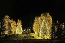 12-19c.webp