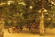 12-19d.webp
