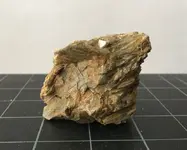 rock ID IMG_4368.webp