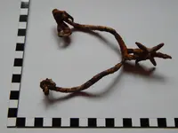 DSCN8172.webp