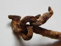 DSCN8175.webp