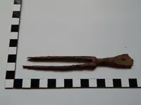 DSCN8198.webp