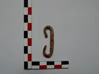 DSCN8208.webp