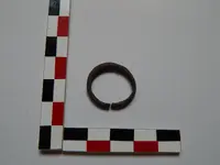 DSCN8212.webp